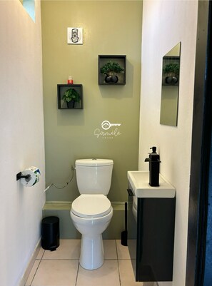 Shower, hair dryer, towels, toilet paper