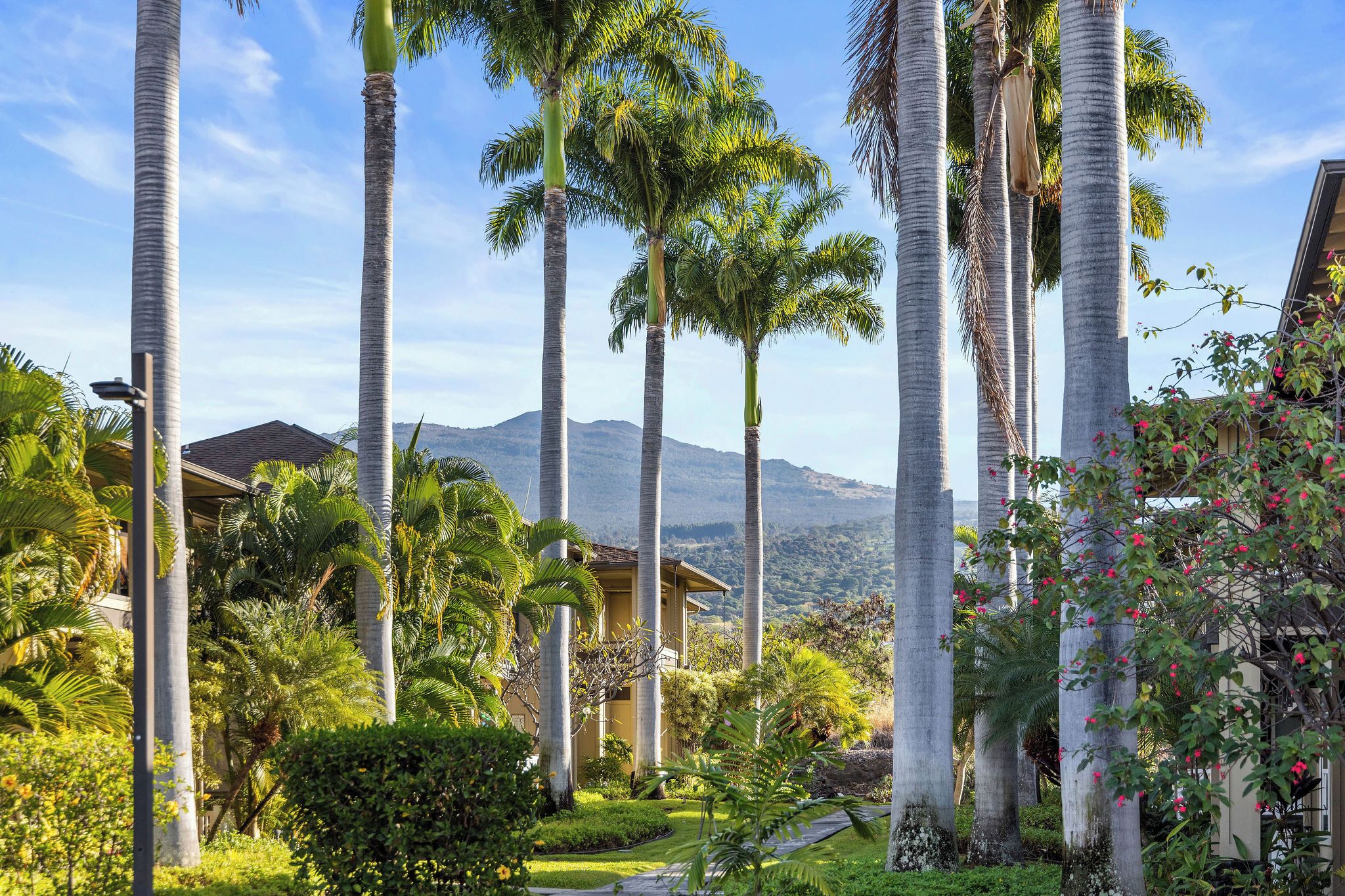 A tropical landscape with tall palm trees, a well-maintained garden, and a mountain in the background.