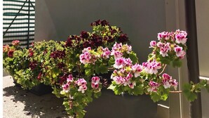 外部細節