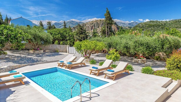 Ein rechteckiger Swimmingpool mit einer Metallleiter, umgeben von Liegestühlen mit blauen Kissen.