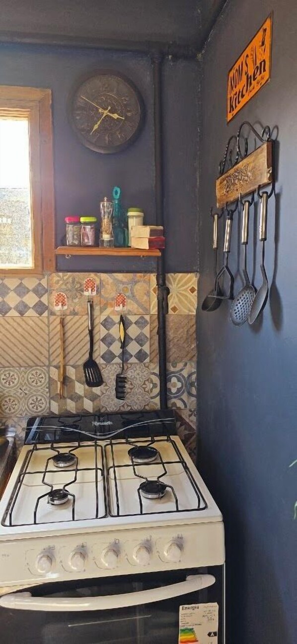 Classic Apartment, Patio | Private kitchen