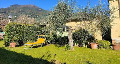 Holiday Home in Camaiore near Sandy Beaches