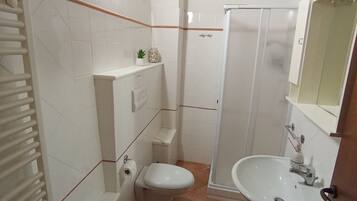 Shower, hair dryer, bidet, towels