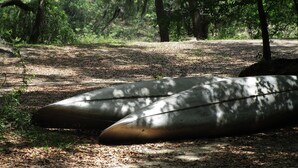 Two large, metallic, canoe-like objects lying on the ground in a forested area. - Charming cabin 25 with 1 bedroom and Wi-Fi, fitness room, Pool in fabulous Mayo (Mayo)