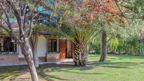A building with a garden, a palm tree, and a wooden door. - MOT Alzaga (Chacras de Coria)