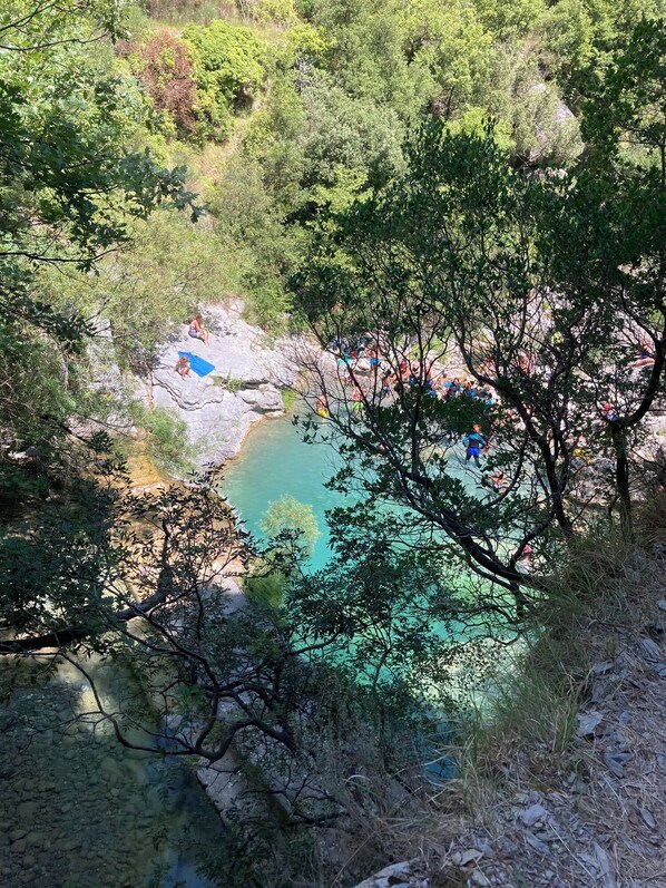 A natural hot spring surrounded by trees and rocky terrain.