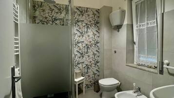 Shower, hair dryer, bidet, towels