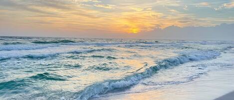 بالقرب من الشاطئ