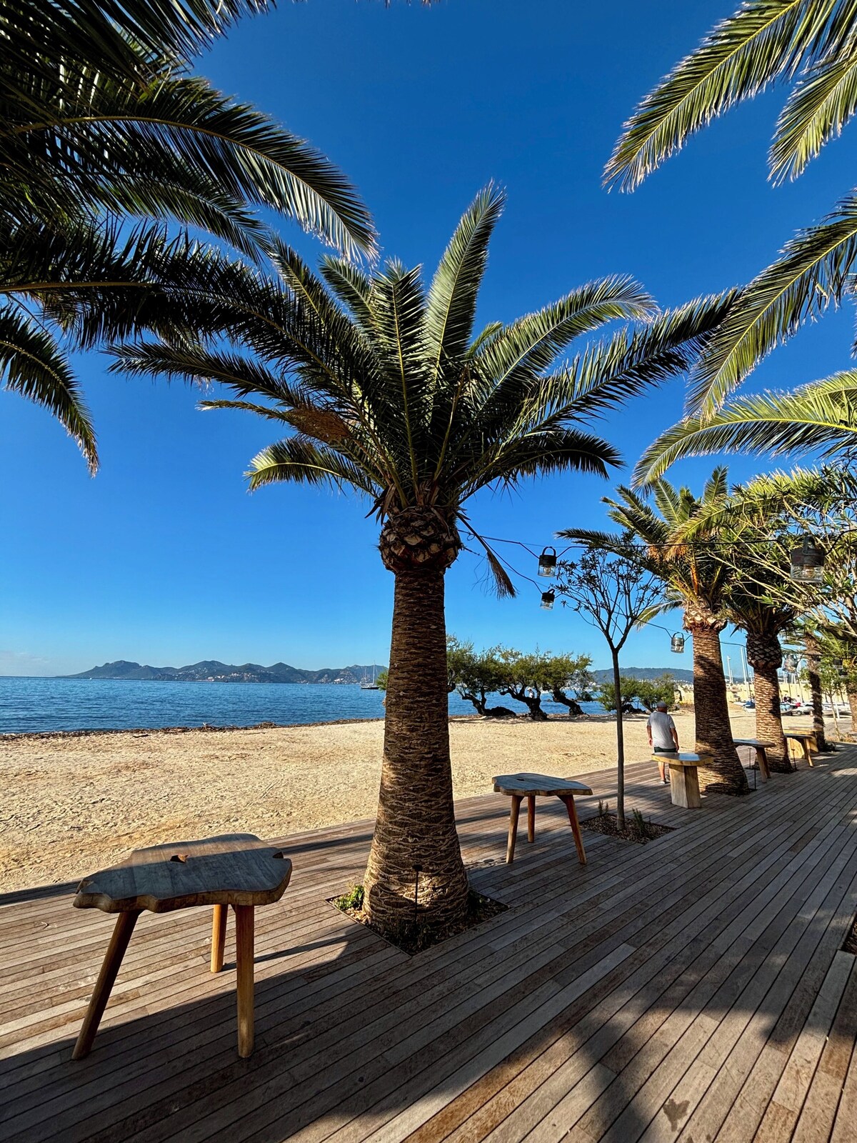 Imagen de perfil del propietario o de la propietaria