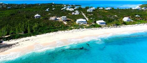 Beach nearby, sun-loungers, beach towels