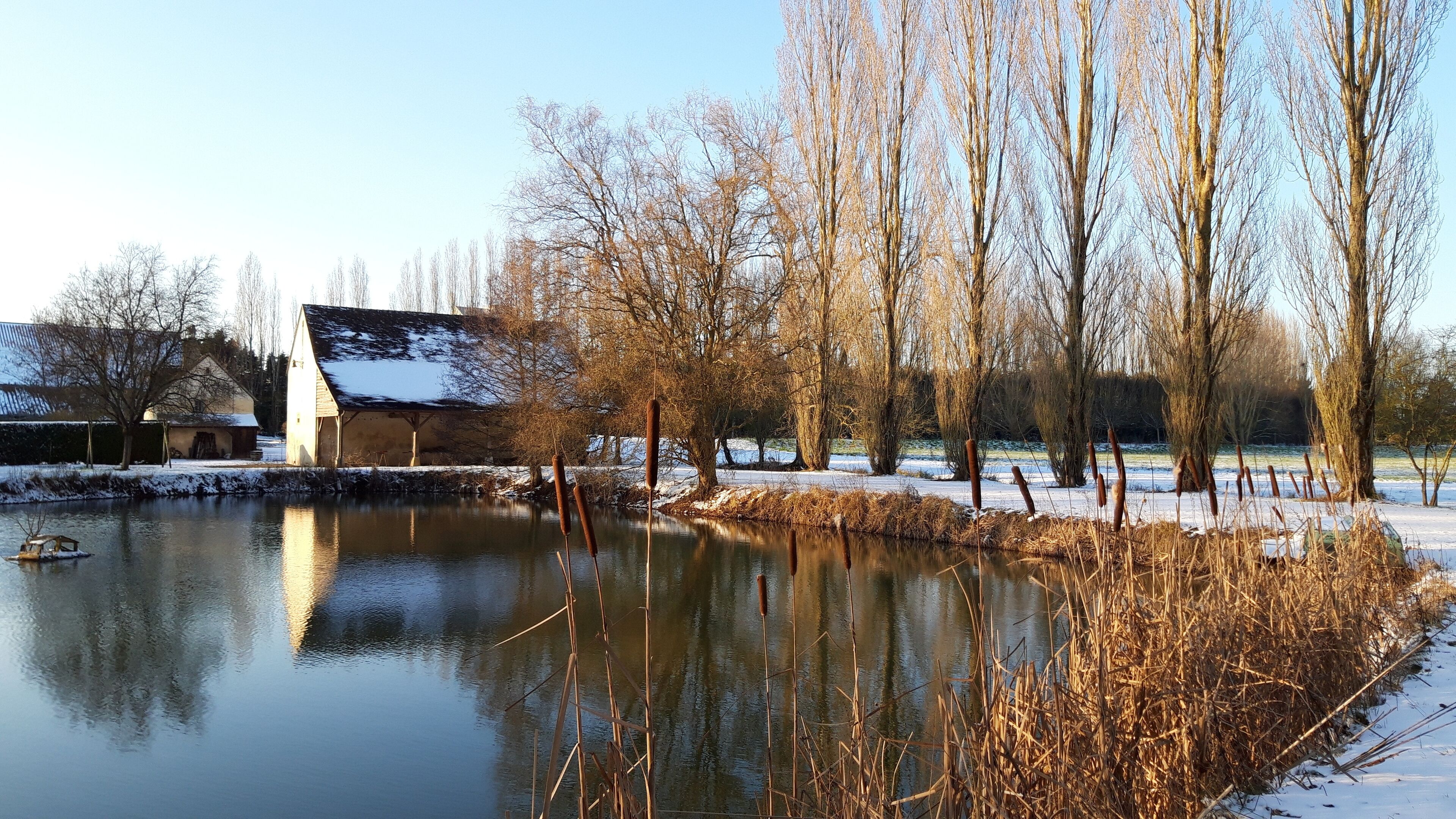 A serene lakeside scene with a wooden cabin and bare trees reflecting in the calm water.