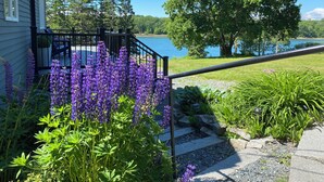 A house with a deck overlooking a lake, surrounded by lush greenery and purple flowers.