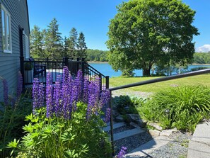 Property grounds - DownEast ocean bay waterfront home sleeps 6. 35 min. to Acadia and Bar Harbor. (Sullivan)