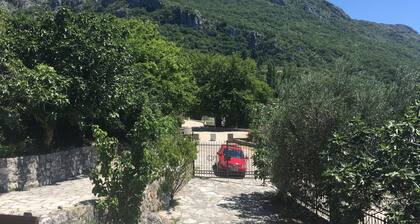 Rent a room in Stonehouse Danilo