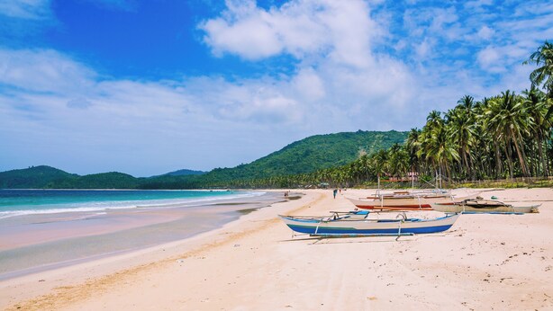 Una playa con barcos, palmeras y una montaña al fondo.