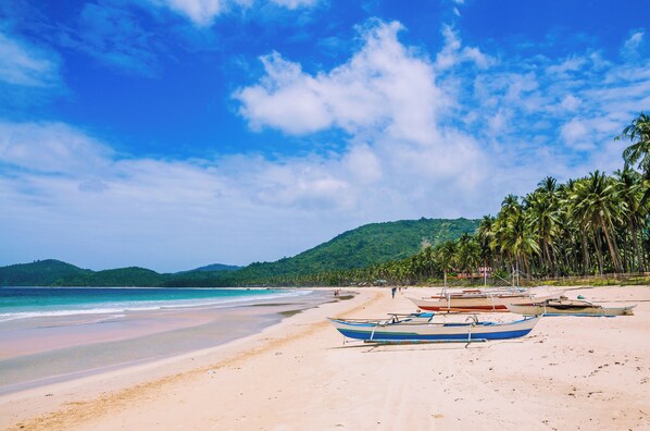 Una playa con barcos, palmeras y una montaña al fondo.