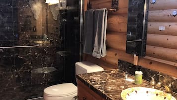 Hair dryer, towels, soap, shampoo