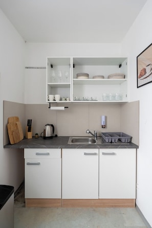 Familie appartement, Meerdere bedden, niet-roken | Privékeuken | Een koelkast met diepvriezer, een microgolfoven, een oven, een kookplaat