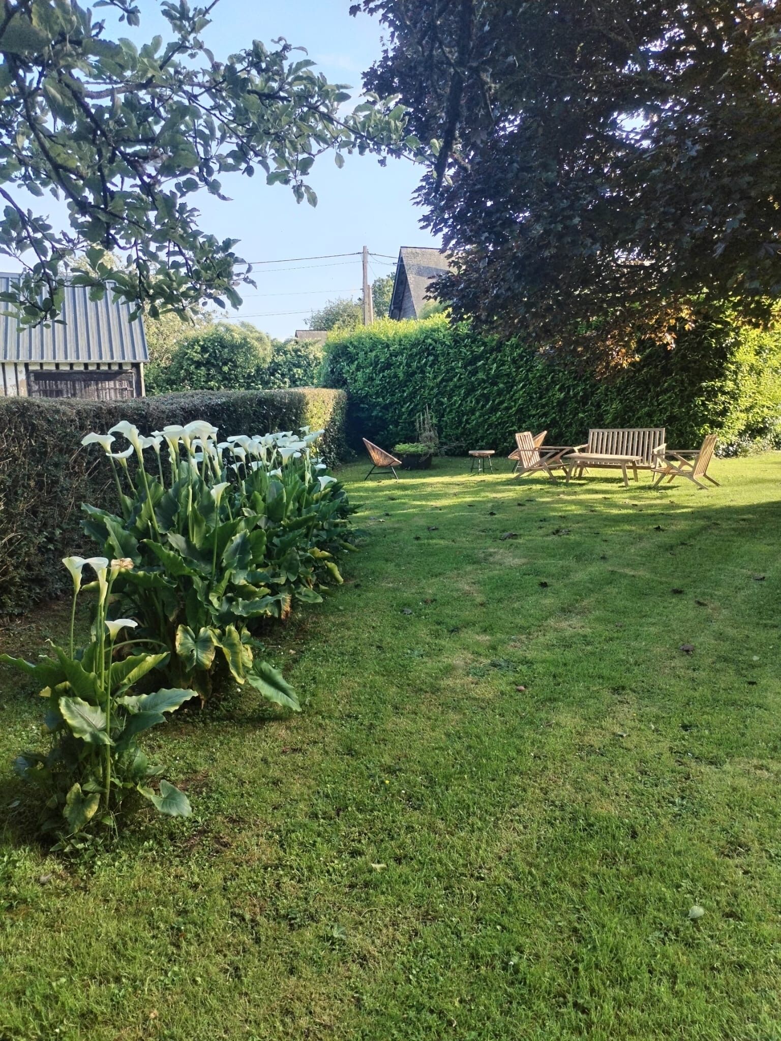 Une cour arrière verdoyante avec un banc en bois, une haie et un petit abri de jardin.