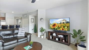 TV connectée, livres, chaßne hi-fi