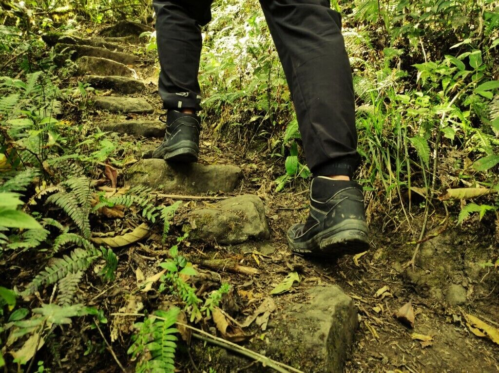 Una persona caminando por un sendero rocoso rodeado de follaje.