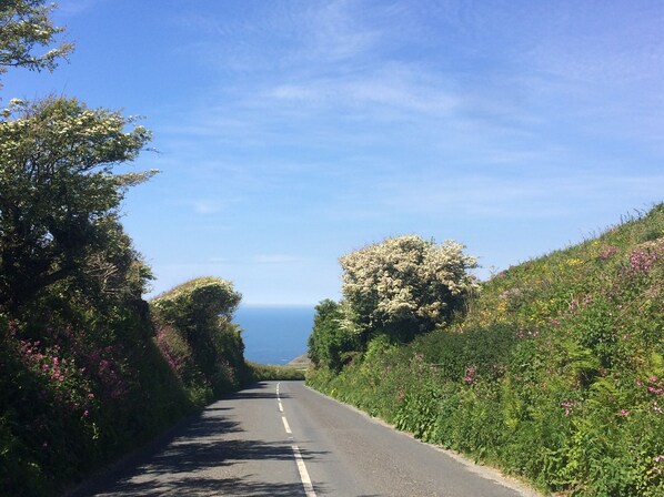 A road flanked by lush greenery and flowering bushes, leading towards a body of water under a clear sky. - Quiet chalet with beautiful rural and sea views near St Nectan's waterfall. (Trethevy)