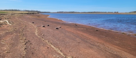 Playa en los alrededores, camastros y toallas de playa