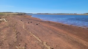 Beach nearby, sun-loungers, beach towels