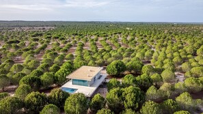 Exterior - Contemporary Comfort & Style in Melides (Melides)