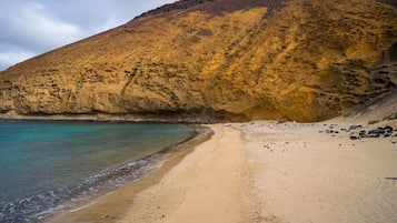 Playa en los alrededores