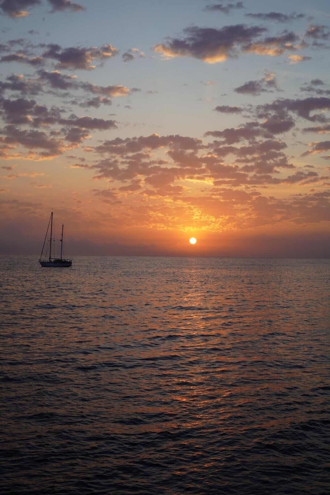 منوع