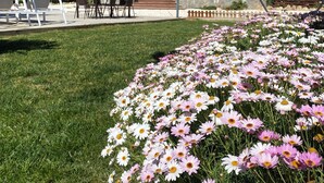 Uklassifisert bilde, 4 av 25, knapp
