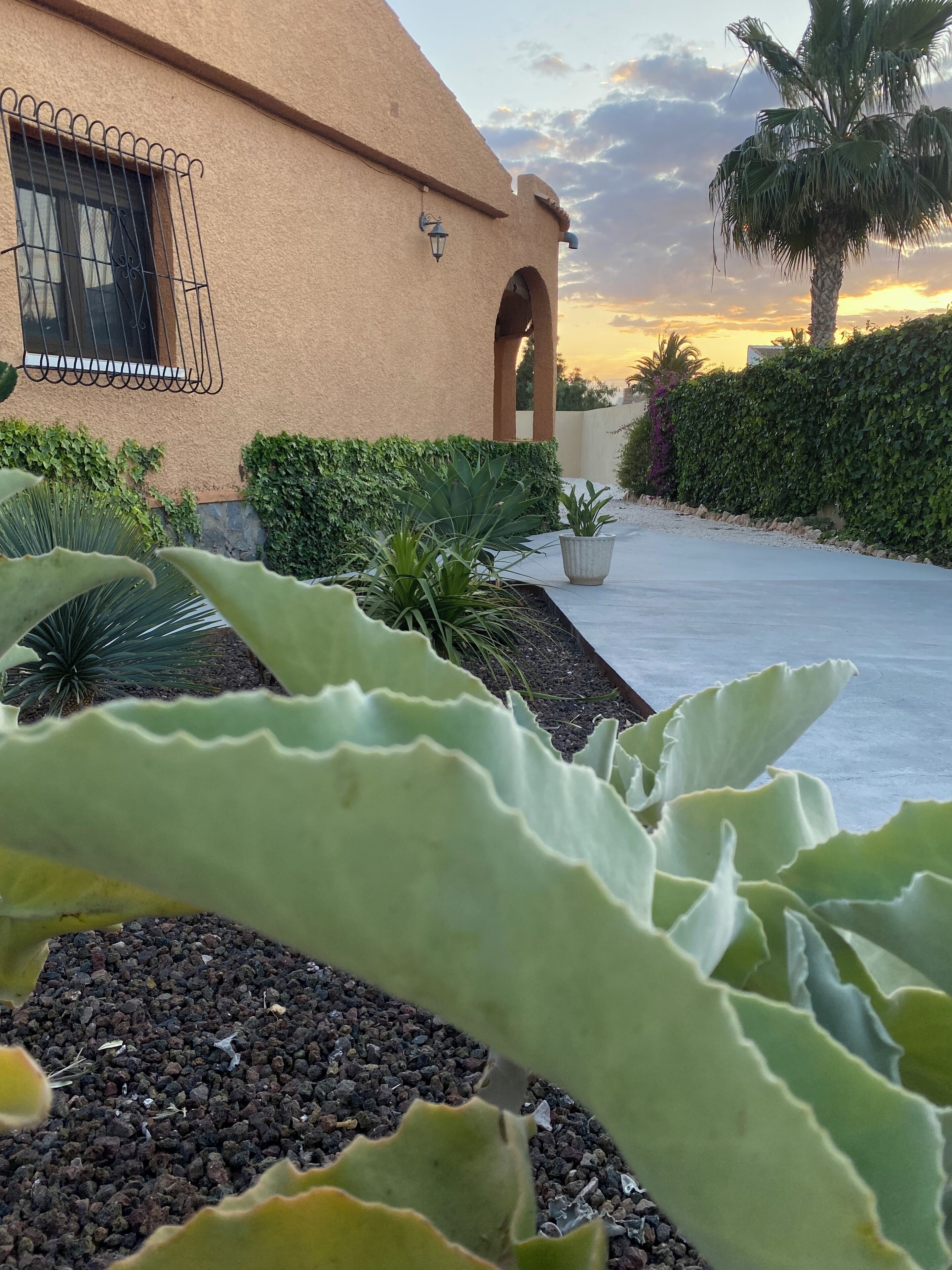 Terrein van de accommodatie