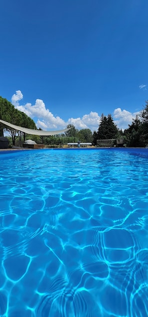 Outdoor pool - La Bastide des Oliviers Provencal gîte with swimming pool in 1 ha of greenery (Carpentras)