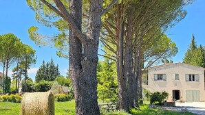 A large tree with a well-maintained lawn and a house in the background.