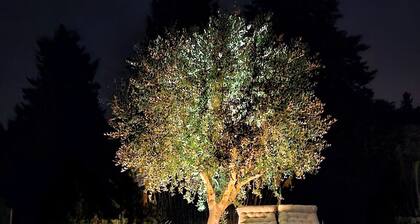 La Bastide des Oliviers
Gßte  Provençal avec piscine  au coeur d'1 ha de verdure