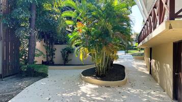 Terrein van de accommodatie