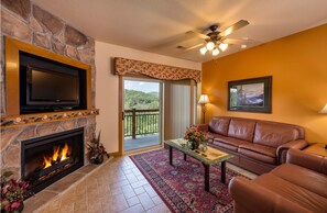 TV, fireplace, video games, DVD player