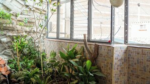 Una stanza con soffitto in paglia, una finestra vista esterna e un piccolo giardino interno con rocce e piante.