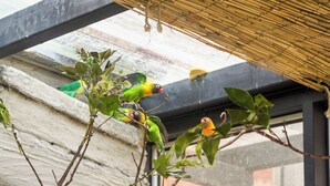 Una gabbia per uccelli con rami e foglie, e un muro di mattoni sullo sfondo.