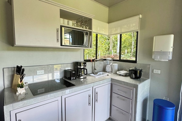 Frigorífic, microones, placa de cuina i cafetera i tetera