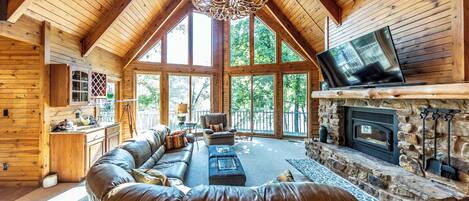 Smart TV, fireplace, books