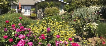 Vinehaven - 3BD Healdsburg Retreat with Spa