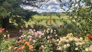Ein Garten mit verschiedenen Blumen und einem Weinberg im Hintergrund.