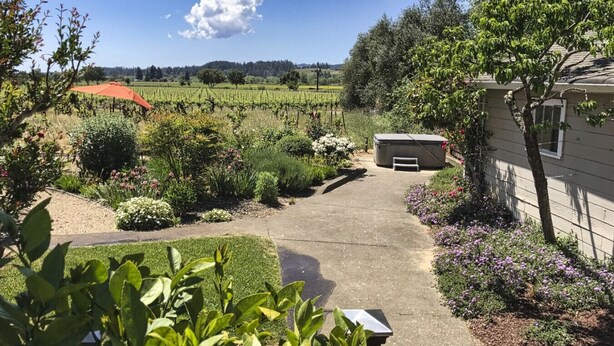 Ein Garten mit einem Pflasterweg, der zu einem Schuppen führt, umgeben von verschiedenen Pflanzen und Blumen.