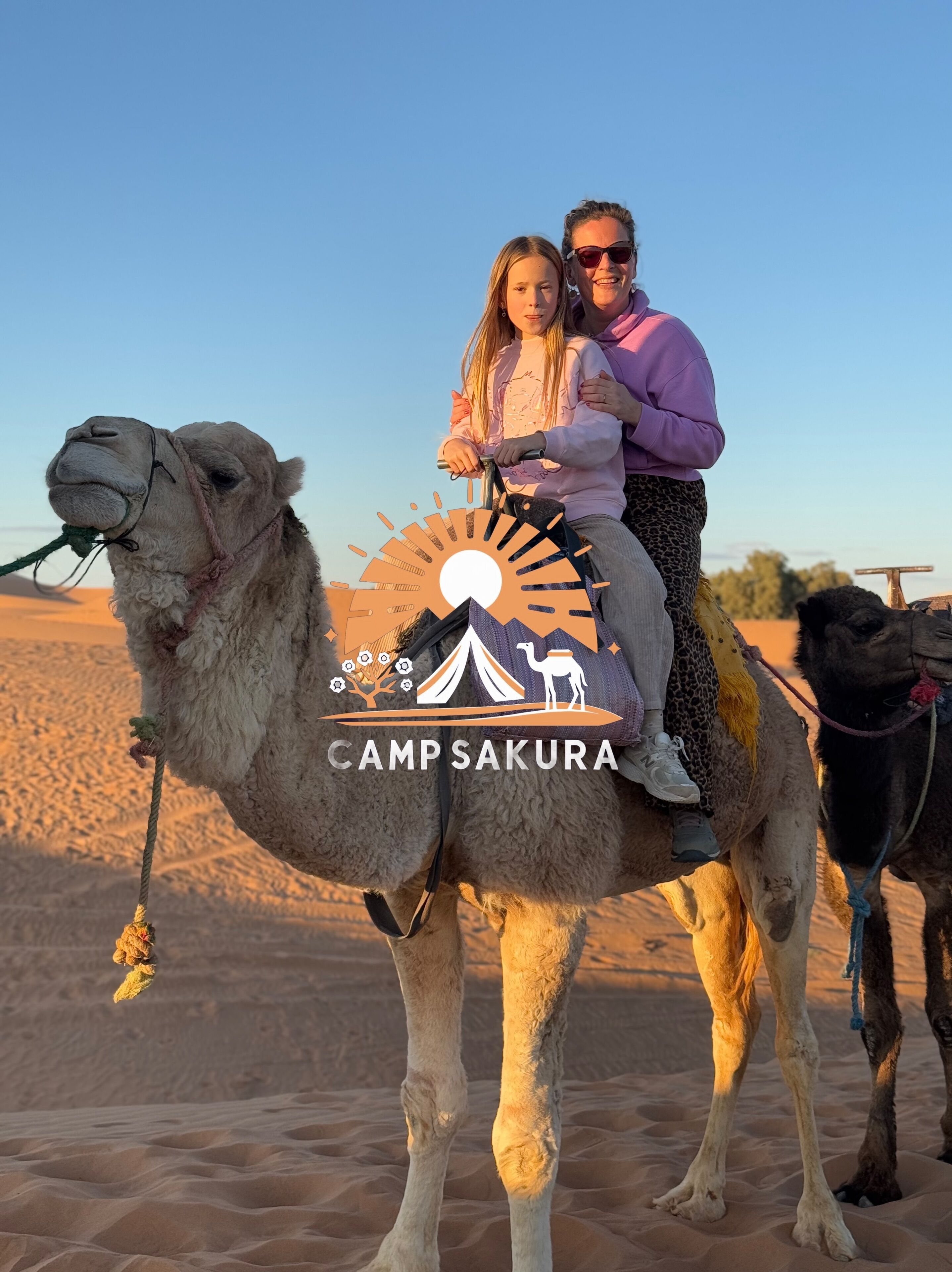A camel with a person riding it in a desert setting.