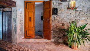 A rustic room with a wooden door, stone walls, and a potted plant. - Casa Daniele - Savigno (Savigno)