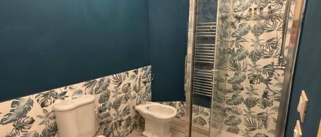 Douche, séchoir à cheveux, bidet, serviettes fournies