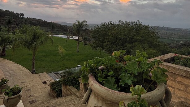 A terracotta pot with green foliage on a stone ledge, overlooking a grassy landscape with trees and a distant view of a city skyline.