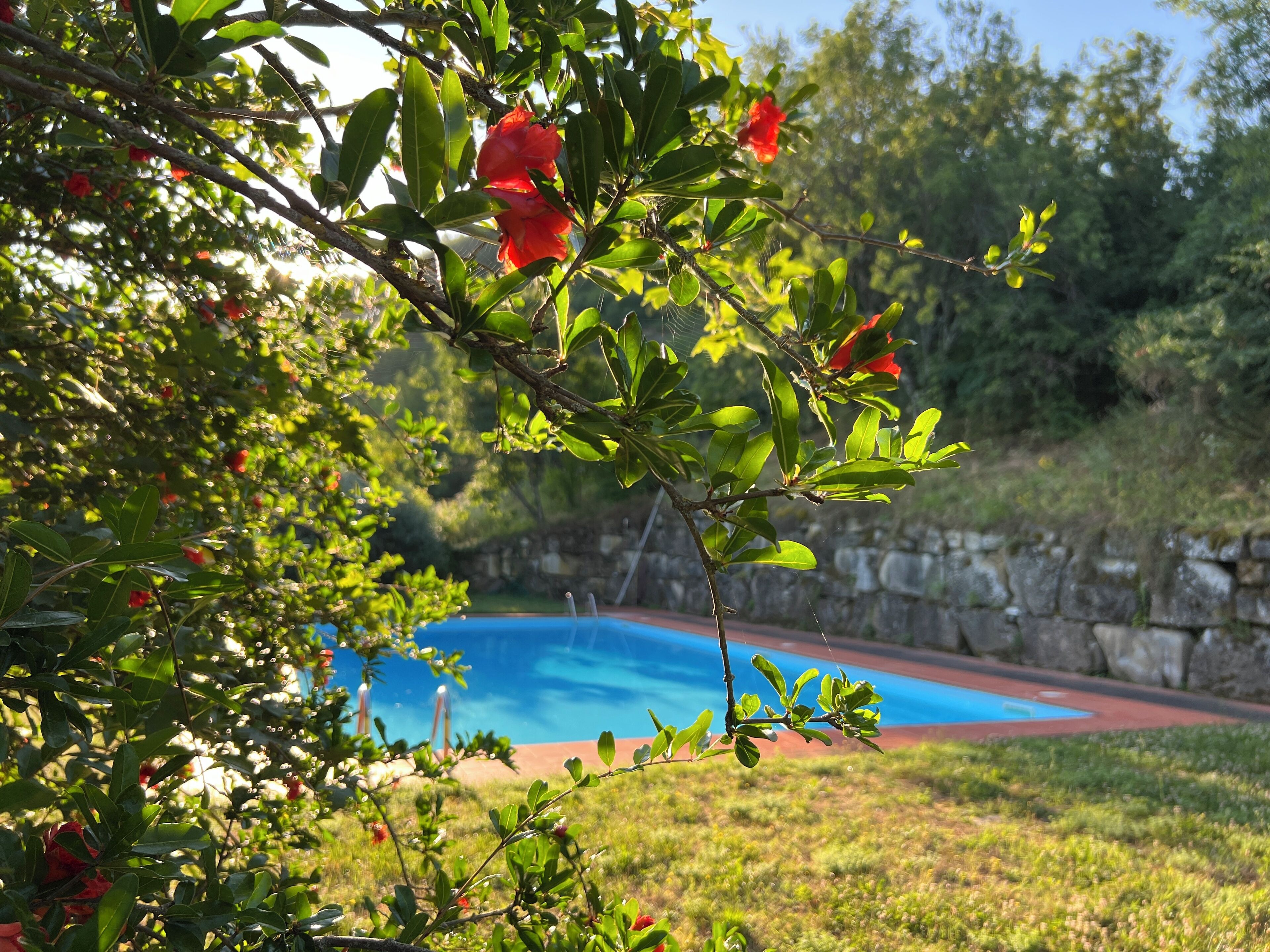 Außenpool (je nach Saison geöffnet)